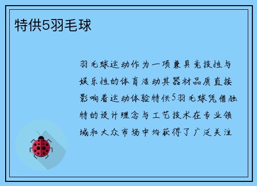 特供5羽毛球