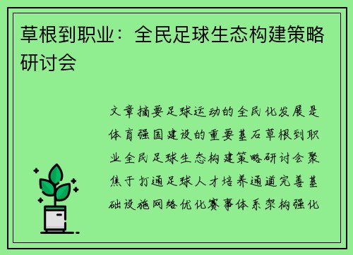 草根到职业：全民足球生态构建策略研讨会