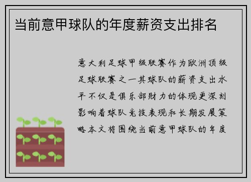 当前意甲球队的年度薪资支出排名